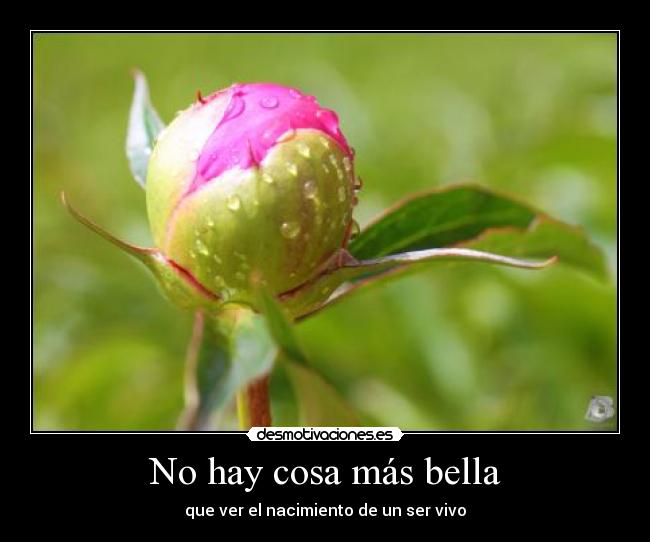 No hay cosa más bella - 