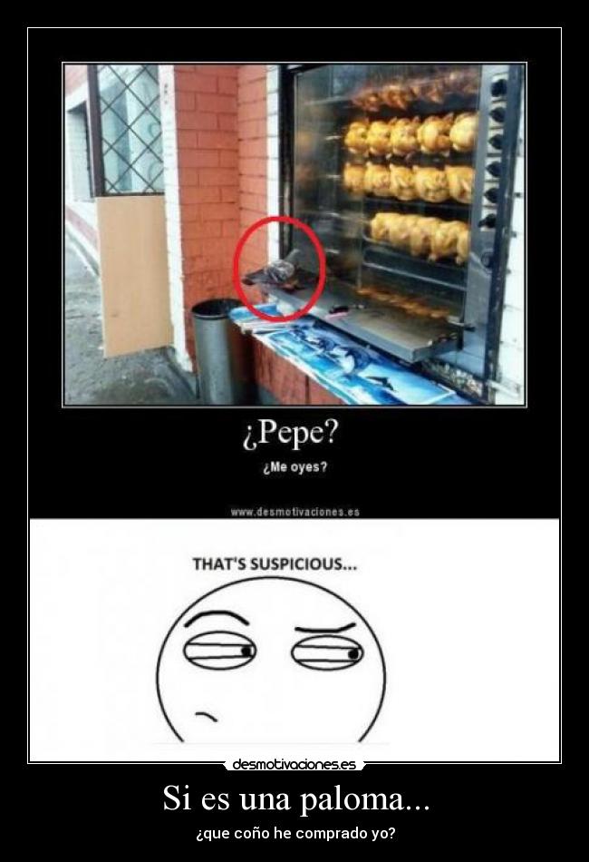 Si es una paloma... - ¿que coño he comprado yo?