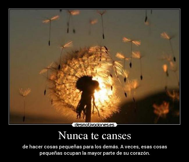 Nunca te canses - de hacer cosas pequeñas para los demás. A veces, esas cosas
pequeñas ocupan la mayor parte de su corazón.