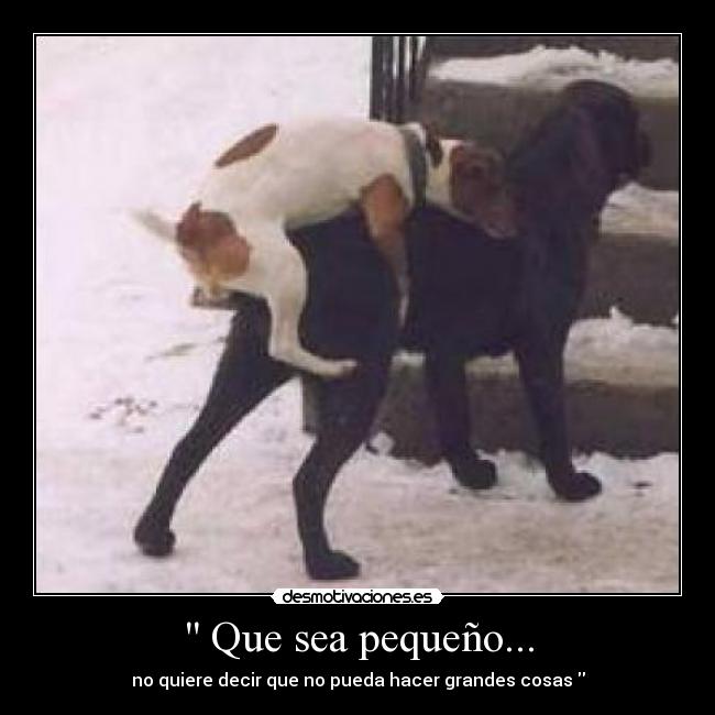  Que sea pequeño... - 