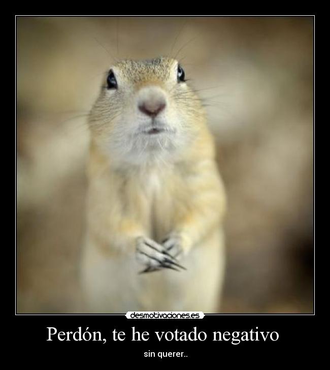 Perdón, te he votado negativo  - 