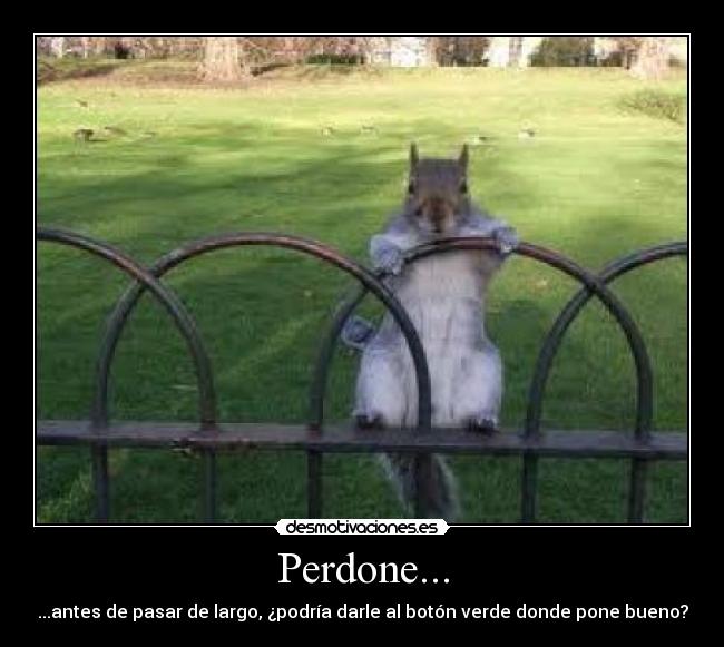 Perdone... - 
