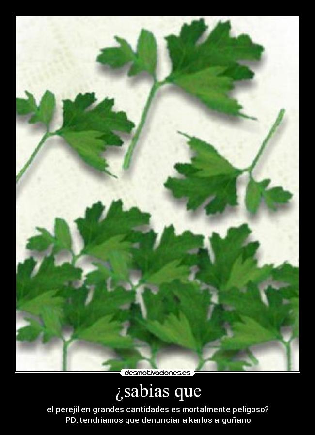 ¿sabias que - el perejil en grandes cantidades es mortalmente peligoso?
PD: tendriamos que denunciar a karlos arguñano