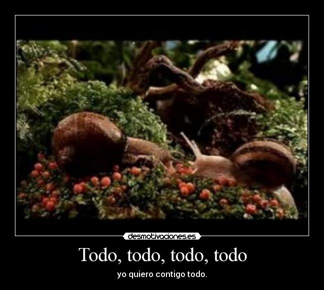 Todo, todo, todo, todo - yo quiero contigo todo.