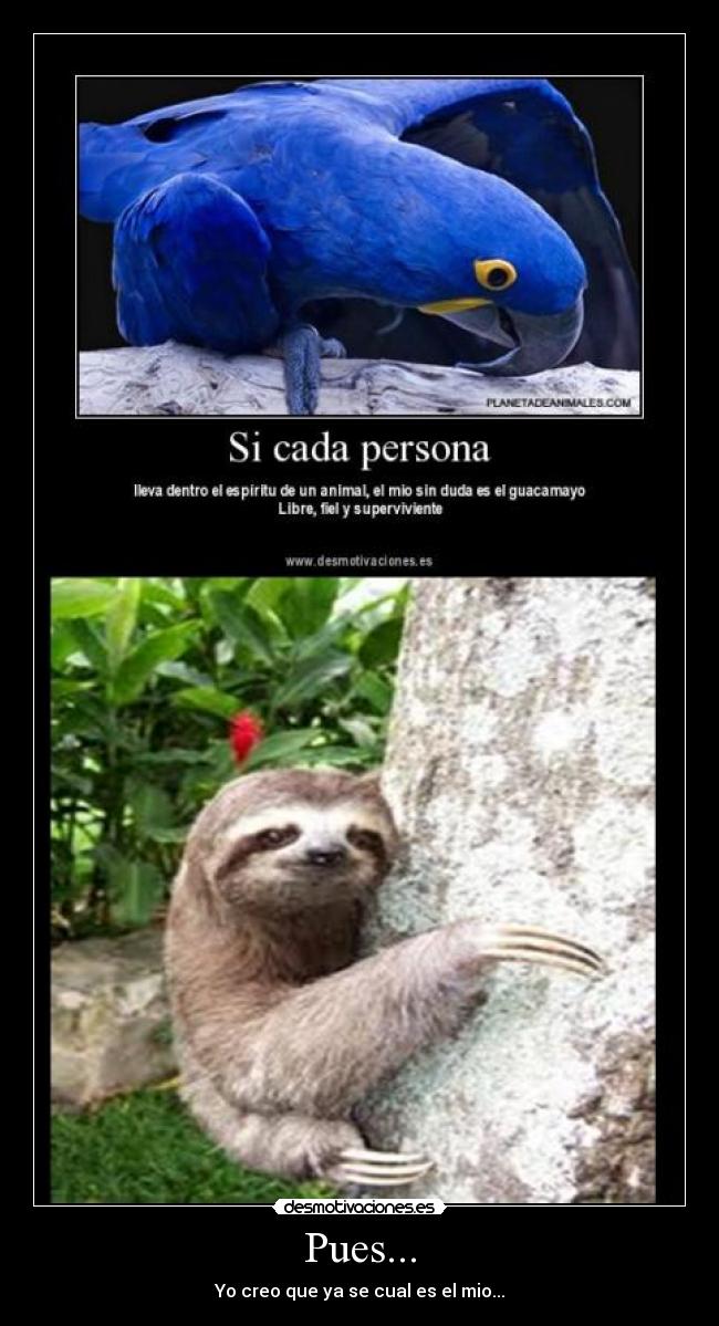 Pues... - Yo creo que ya se cual es el mio...