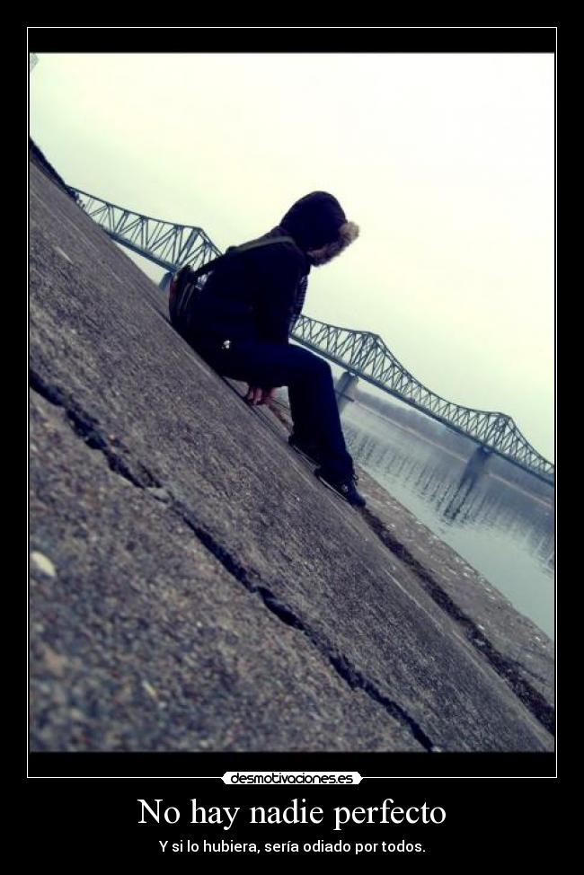 No hay nadie perfecto -
