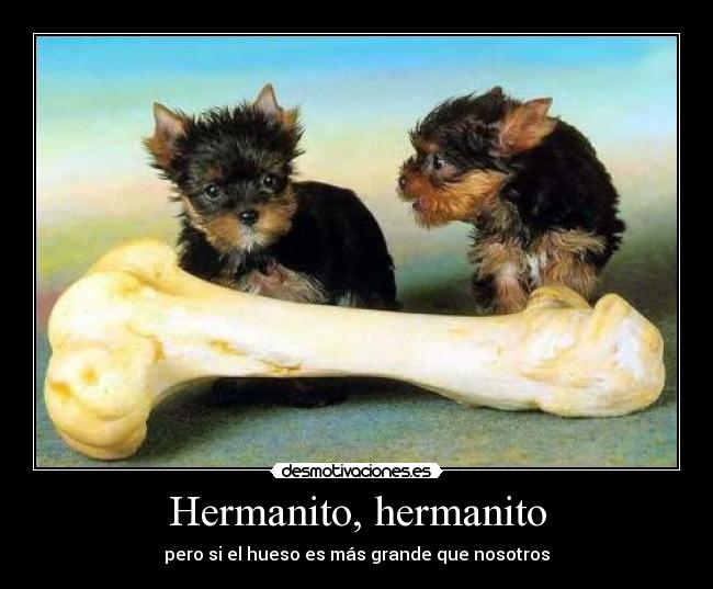 Hermanito, hermanito - 
