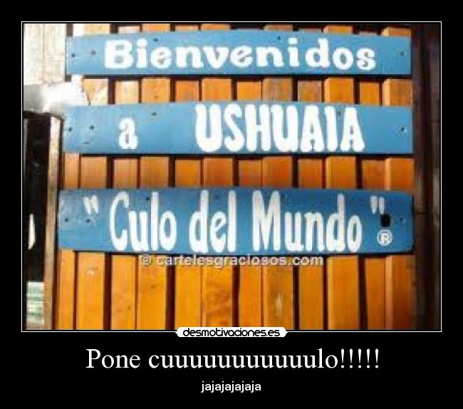 carteles alex desmotivaciones