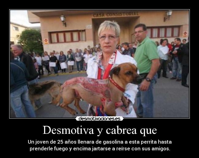 carteles pinoso desmotiva cabrea mucho perrita animal desmotivaciones