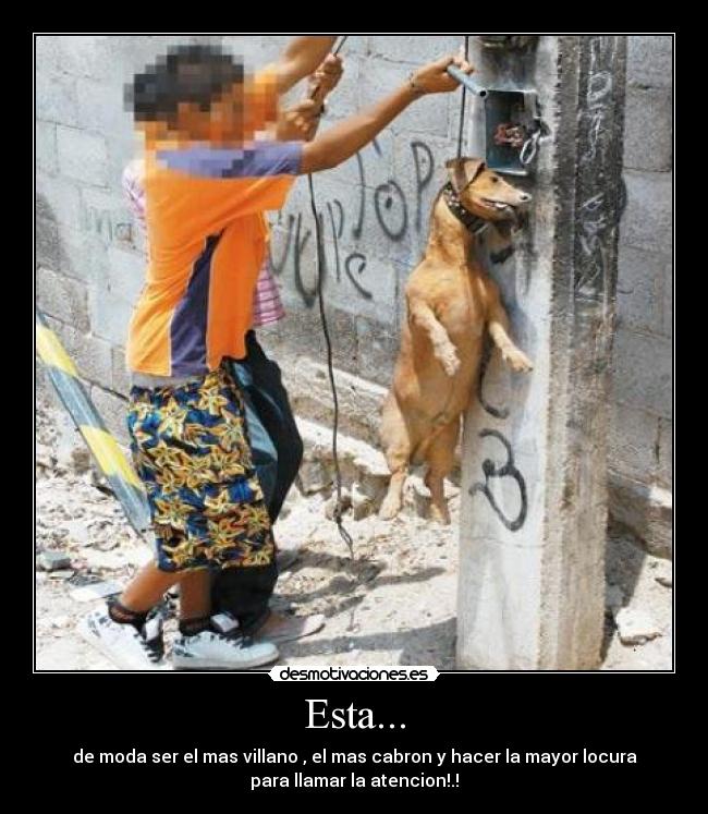Esta... - de moda ser el mas villano , el mas cabron y hacer la mayor locura
para llamar la atencion!.!