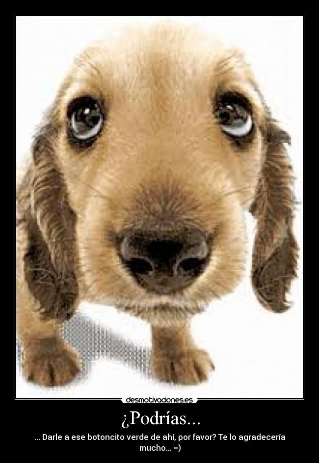 ¿Podrías... - 