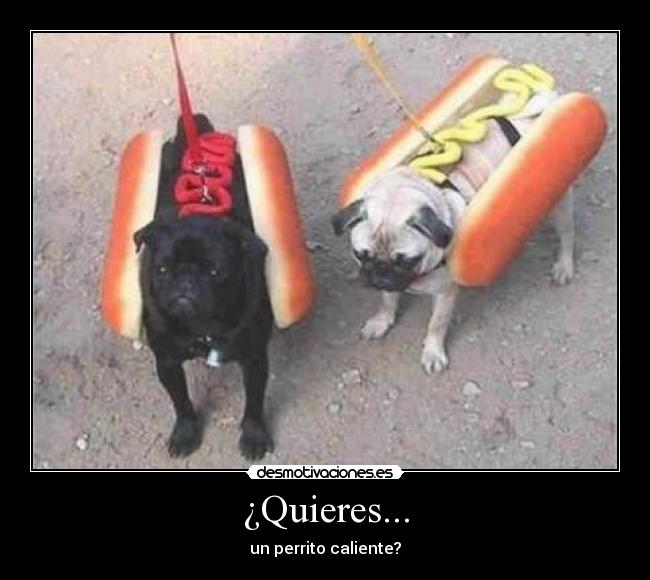 ¿Quieres... - un perrito caliente?