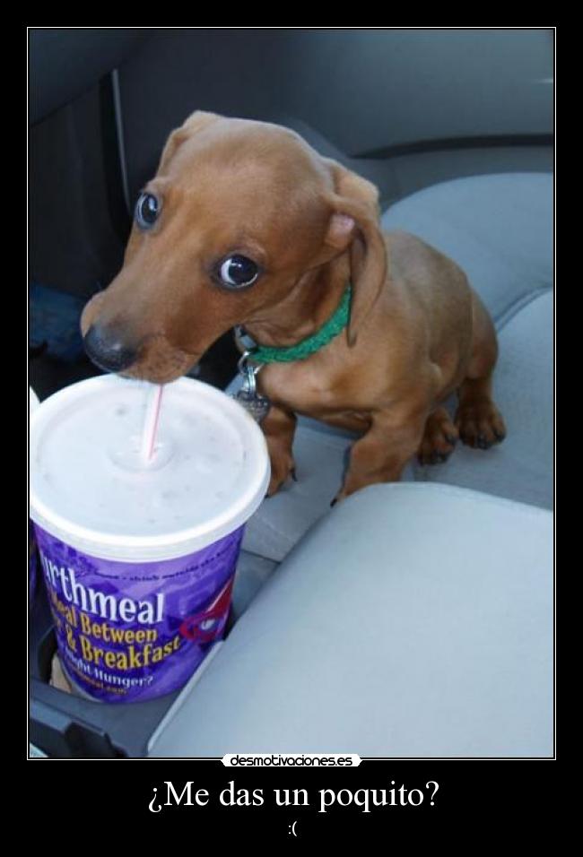 ¿Me das un poquito? -