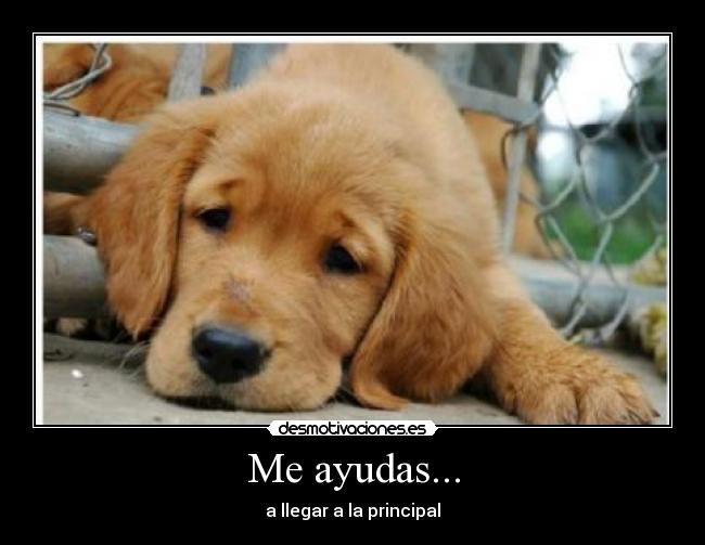 Me ayudas... - a llegar a la principal