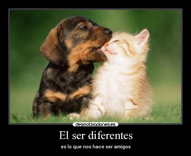 El ser diferentes - es lo que nos hace ser amigos