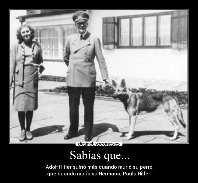 carteles sabias que desmotivaciones