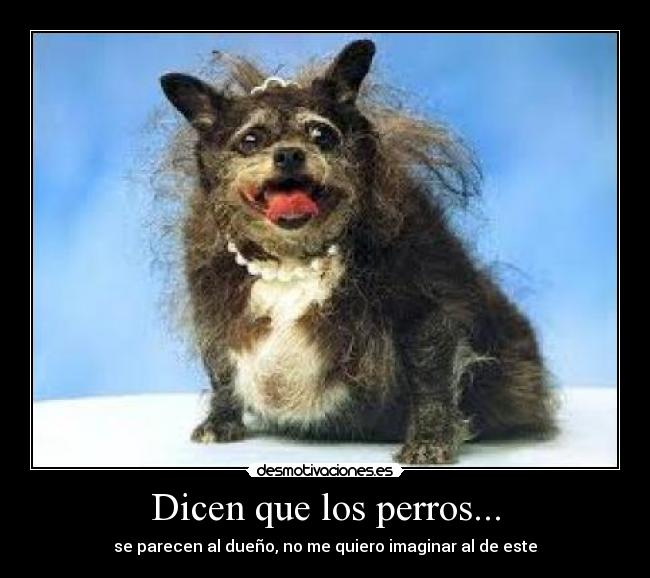Dicen que los perros... - 