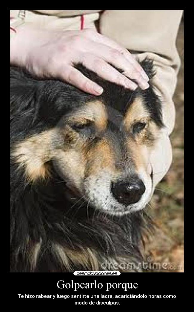 Golpearlo porque - Te hizo rabear y luego sentirte una lacra, acariciándolo horas como
modo de disculpas.