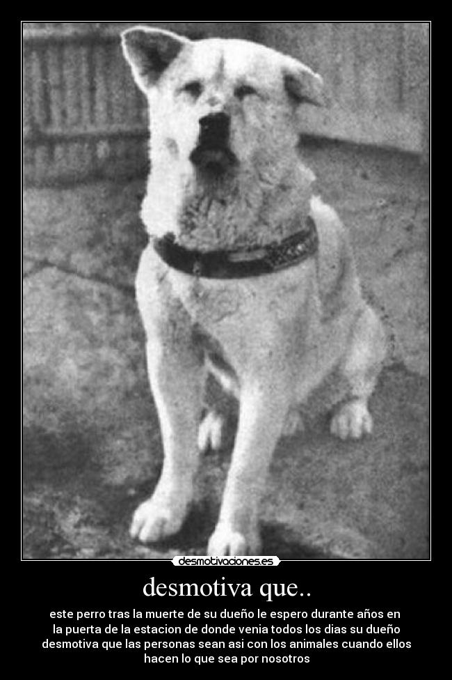 desmotiva que.. - este perro tras la muerte de su dueño le espero durante años en 
la puerta de la estacion de donde venia todos los dias su dueño
desmotiva que las personas sean asi con los animales cuando ellos
hacen lo que sea por nosotros