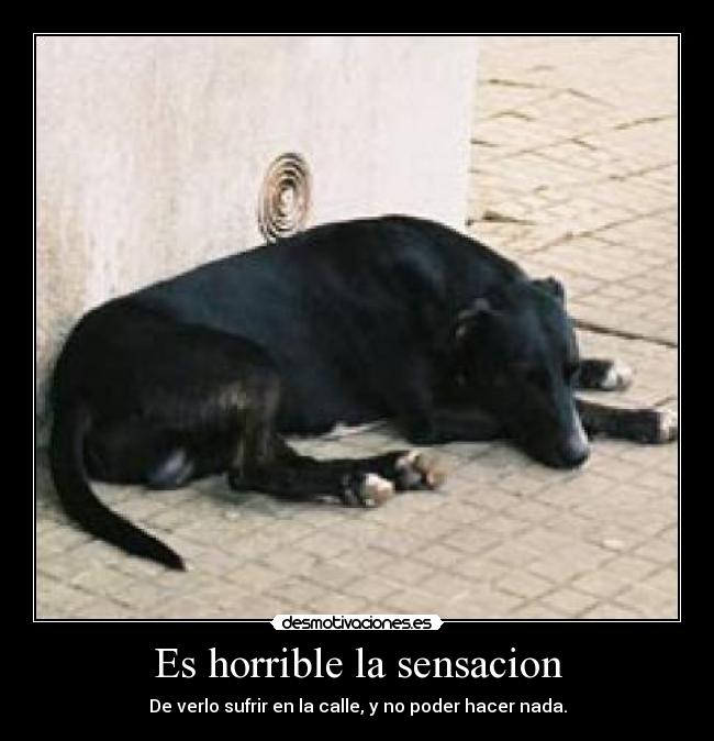 Es horrible la sensacion -