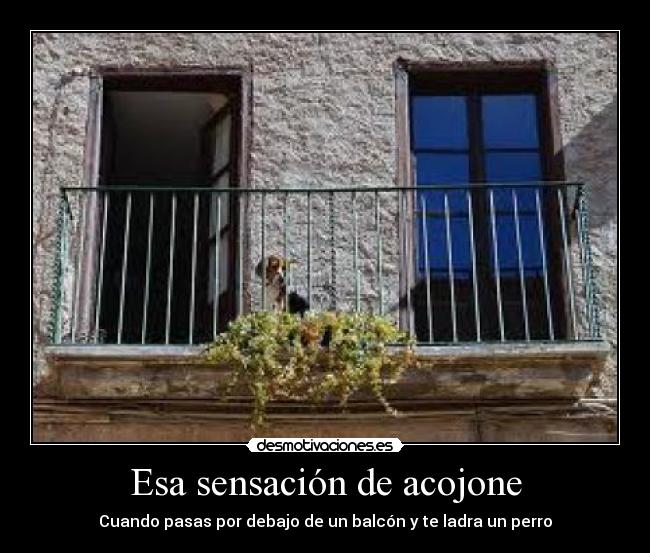 Esa sensación de acojone - Cuando pasas por debajo de un balcón y te ladra un perro