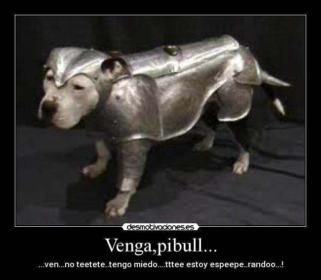 Venga,pibull... - ...ven...no teetete..tengo miedo....tttee estoy espeepe..randoo...!