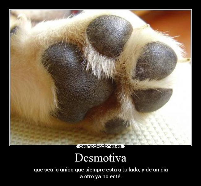 Desmotiva - 