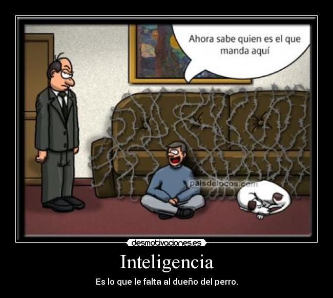 Inteligencia -