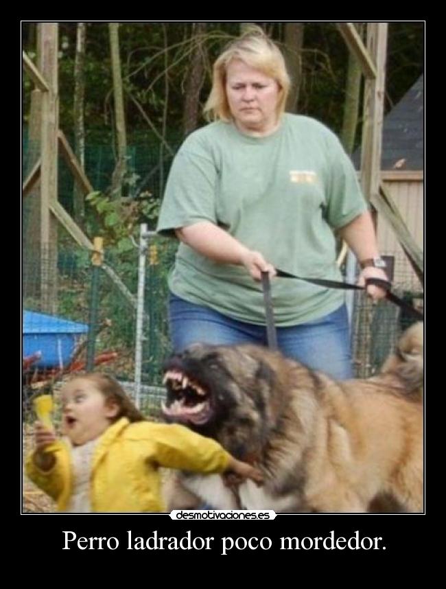 Perro ladrador poco mordedor. - 