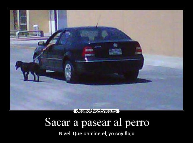 Sacar a pasear al perro -