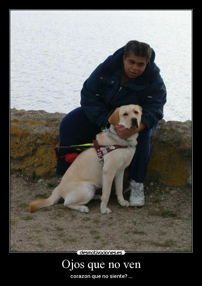 carteles ojos que ven corazon que siente desmotivaciones