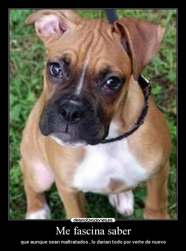 carteles dani_97 desmotivaciones