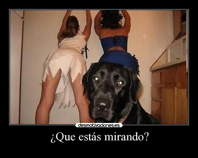 ¿Que estás mirando? -