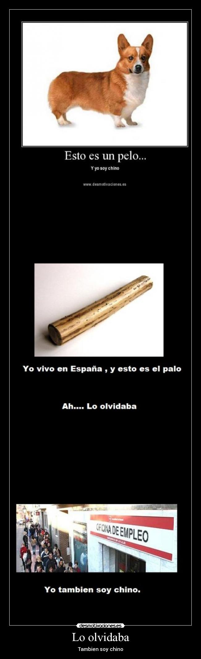 Lo olvidaba - Tambien soy chino