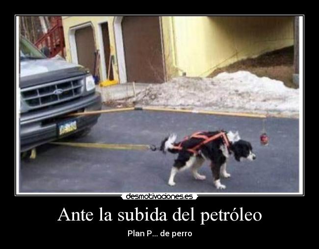 Ante la subida del petróleo -