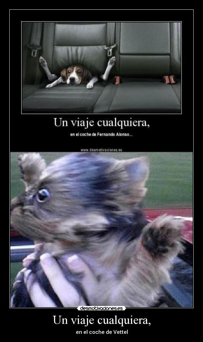 Un viaje cualquiera, - 