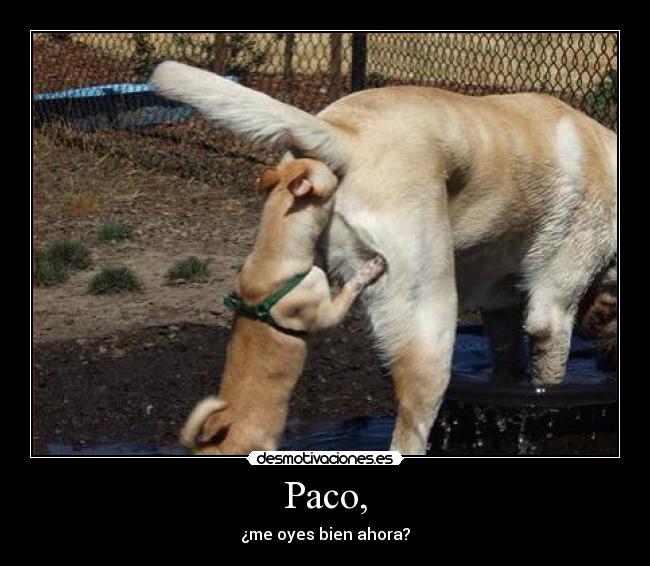 Paco, - ¿me oyes bien ahora?