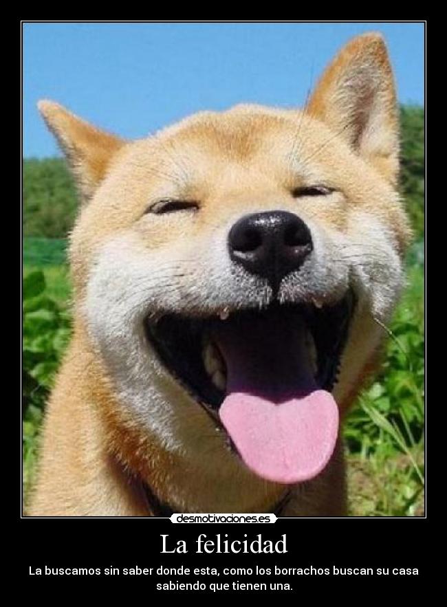 La felicidad - La buscamos sin saber donde esta, como los borrachos buscan su casa
sabiendo que tienen una.
