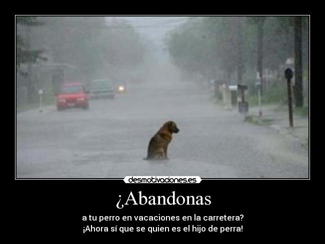 ¿Abandonas -