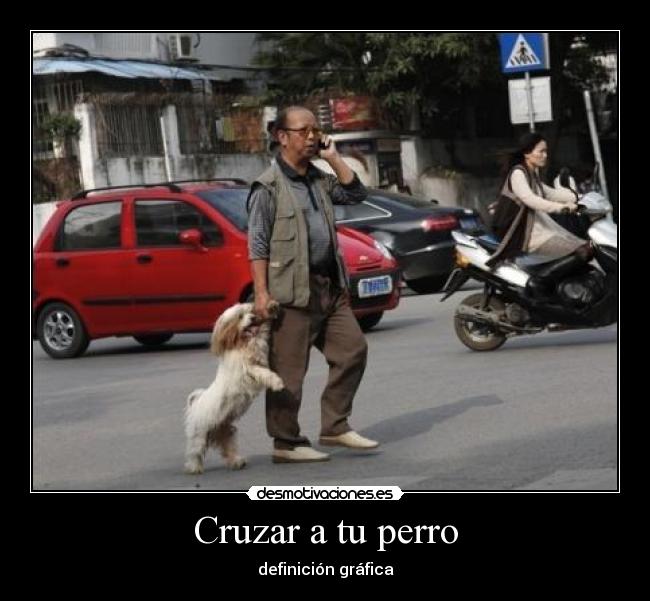 Cruzar a tu perro - definición gráfica