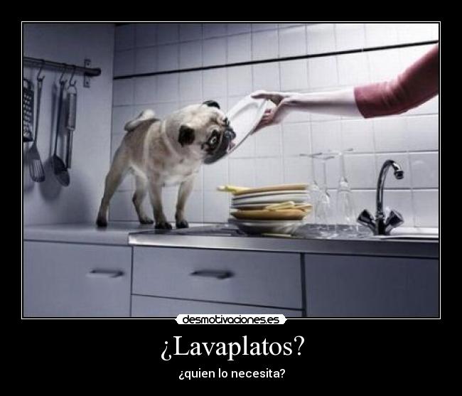 ¿Lavaplatos? -