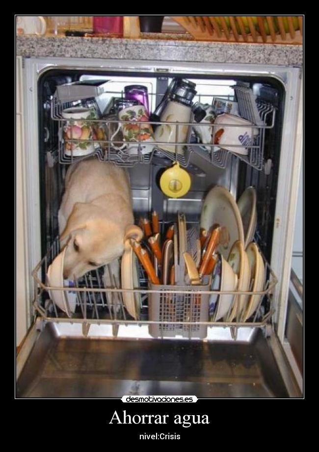 Ahorrar agua - nivel:Crisis
