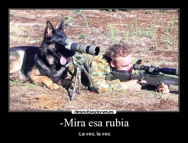 -Mira esa rubia - -La veo, la veo.