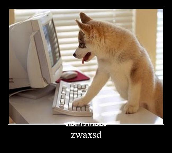 zwaxsd -