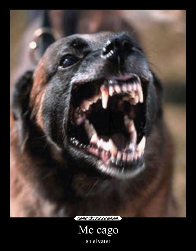 Me cago - en el vater!