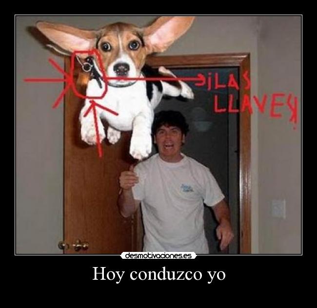 carteles nanito999 desmotivaciones