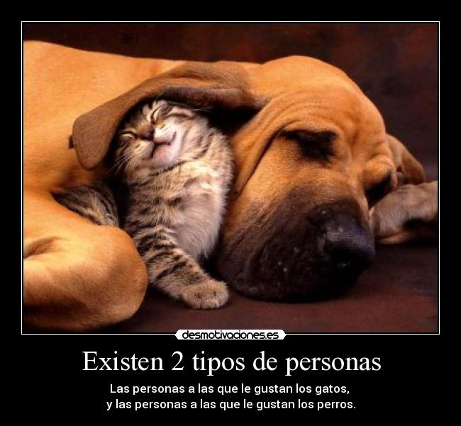 Existen 2 tipos de personas - Las personas a las que le gustan los gatos, 
y las personas a las que le gustan los perros.
