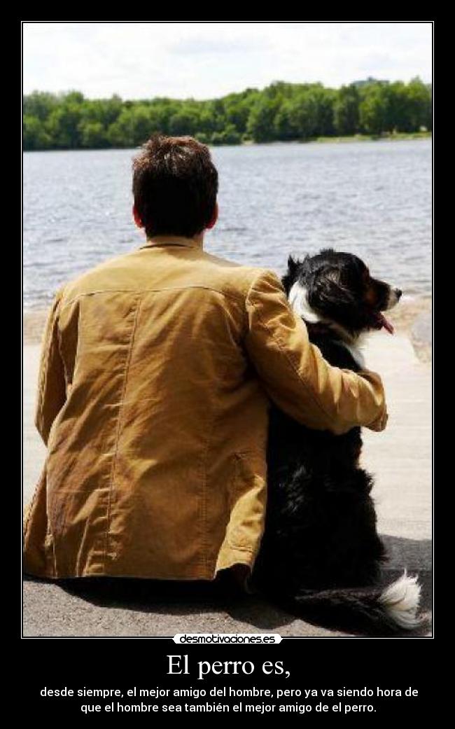 El perro es, -