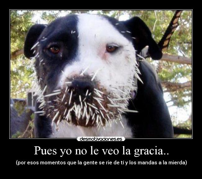 Pues yo no le veo la gracia.. - 