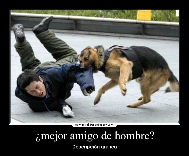 ¿mejor amigo de hombre? - Descripción grafica